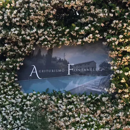 Fontanelle